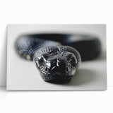 Stretched canvas wall art showcasing a vibrant reptile snake design, featuring intricate details and bold colors, perfect for adding a unique touch to any room decor.