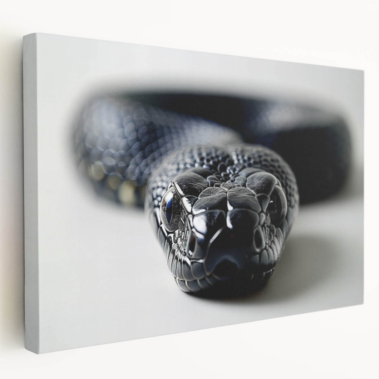 Stretched canvas wall art featuring a vibrant reptile snake design in a side view, showcasing intricate details and bold colors, perfect for enhancing modern decor.