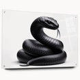 Acrylic wall art collection showcasing a vibrant reptile and snake design in a side view, elegantly pinned for display; perfect for wildlife enthusiasts and home decor.