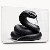 Acrylic wall art collection showcasing a vibrant reptile and snake design in a side view, elegantly pinned for display; perfect for wildlife enthusiasts and home decor.