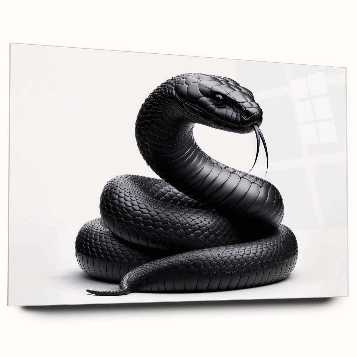 Acrylic wall art collection featuring a striking side view of a snake design in vibrant colors, ideal for reptile enthusiasts and modern decor. Perfect for enhancing any space.