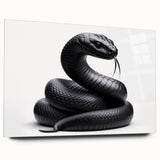 Acrylic wall art collection featuring a striking side view of a snake design in vibrant colors, ideal for reptile enthusiasts and modern decor. Perfect for enhancing any space.