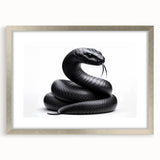 Framed wall art collection featuring a modern snake design in silver frame with matting, ideal for reptile lovers and stylish home decor accents.
