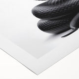 Vibrant rolled canvas wall art showcasing a detailed snake design, perfect for reptile enthusiasts, featuring rich colors and intricate patterns, ideal for home decor.