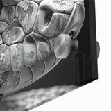 Close-up view of a reptile-themed snake design wall art piece, featuring vibrant colors and intricate details on acrylic glass, perfect for modern decor enthusiasts.