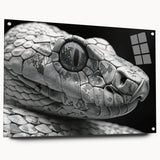 Colorful acrylic glass wall art showcasing a detailed snake design from the reptile collection, displayed with pins for mounting, ideal for nature enthusiasts.