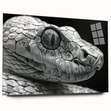 Acrylic glass wall art showcasing a striking reptile snake design, featuring vibrant colors and intricate details, perfect for animal lovers and stylish home decor.