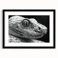 Framed wall art featuring a striking snake design in a black frame with a white mat, showcasing intricate details and vibrant colors, perfect for reptile enthusiasts.