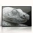 Framed wall art collection showcasing a striking reptile snake design in vibrant colors, featuring a sleek black frame for an elegant touch in home decor.