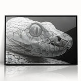 Framed wall art collection showcasing a striking reptile snake design in vibrant colors, featuring a sleek black frame for an elegant touch in home decor.