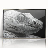 Framed wall art featuring a detailed reptile and snake design in silver acrylic, showcasing intricate patterns and textures against a contemporary backdrop. Ideal for animal lovers and modern decor enthusiasts.