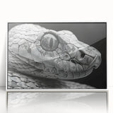 Framed wall art showcasing a vibrant snake design with intricate patterns, set in a sleek white frame, perfect for reptile enthusiasts and modern decor.