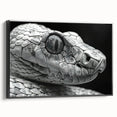 Framed canvas wall art showcasing a detailed snake design, featuring vibrant colors and a sleek black frame, perfect for reptile enthusiasts and modern decor.