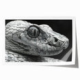 Colorful reptile-themed wall art featuring an intricate snake design, printed on high-quality canvas and rolled for easy framing. Perfect for nature lovers and home decor enthusiasts.