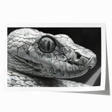 Colorful reptile-themed wall art featuring an intricate snake design, printed on high-quality canvas and rolled for easy framing. Perfect for nature lovers and home decor enthusiasts.