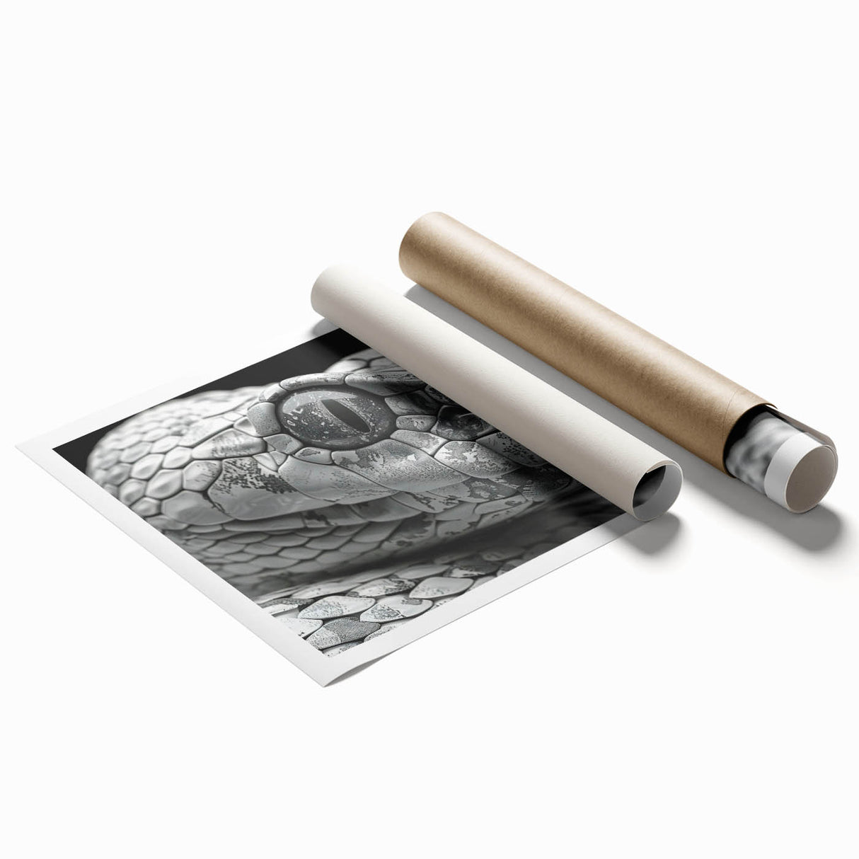 Colorful reptile-themed wall art design featuring a snake illustration, rolled and ready for display. Ideal for nature lovers and modern decor enthusiasts.