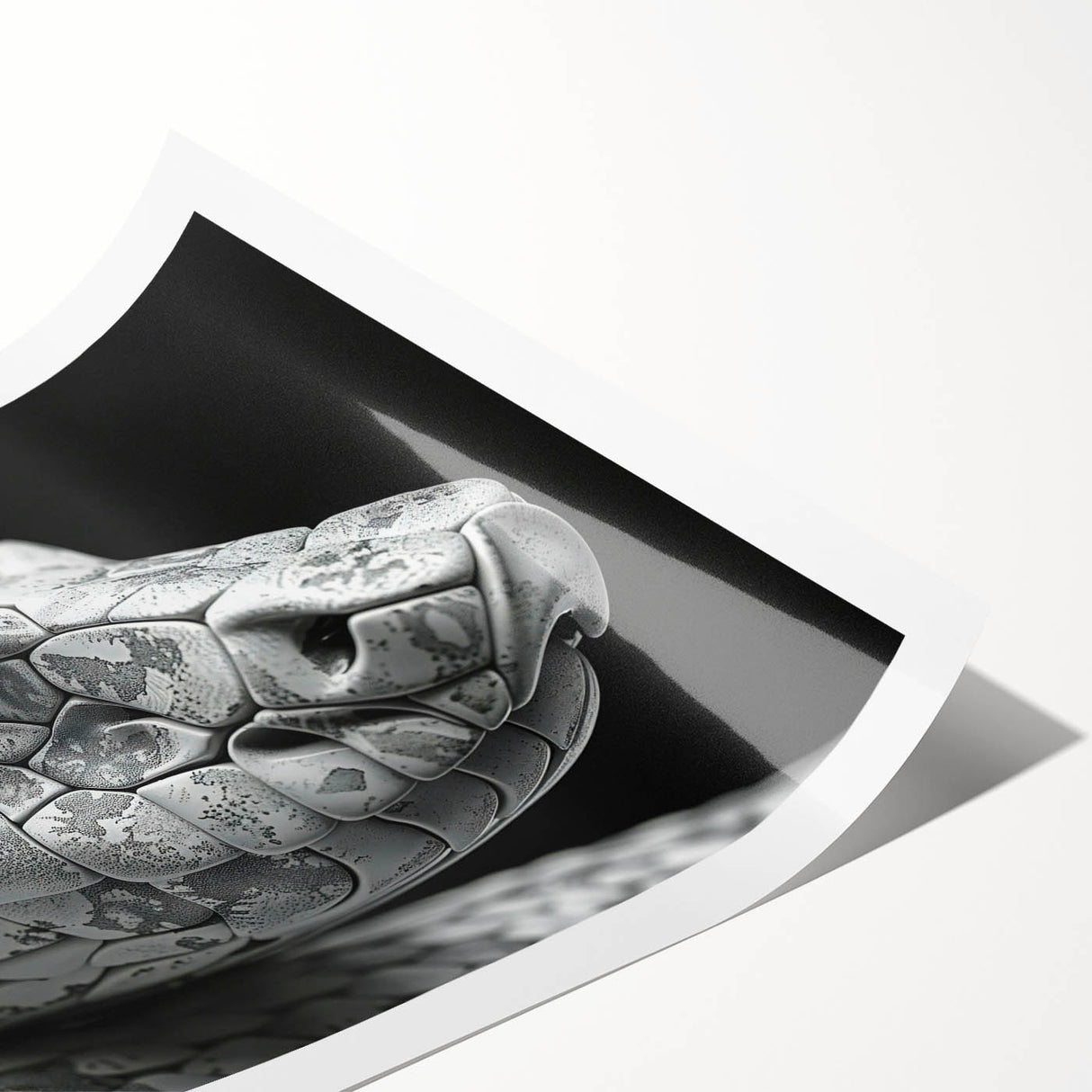 Colorful snake-themed wall art print featuring intricate reptile designs, rolled and ready for framing. Perfect for nature enthusiasts and modern decor.