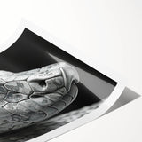 Colorful snake-themed wall art print featuring intricate reptile designs, rolled and ready for framing. Perfect for nature enthusiasts and modern decor.