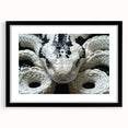 Black-framed wall art showcasing a vibrant reptile and snake design, enhancing home decor with a modern touch. Perfect for animal lovers and unique interior styles.