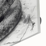 Close-up of a vibrant reptile-themed wall art collection featuring a detailed snake design on acrylic glass, showcasing rich colors and intricate patterns, perfect for enhancing modern decor.