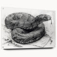 Acrylic wall art showcasing a detailed side view of a reptile snake design, elegantly displayed with pins, ideal for enhancing modern interior decor.