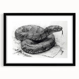 Framed wall art collection featuring a detailed serpent design in vibrant colors, set in a sleek black frame with a white mat, ideal for reptile enthusiasts.