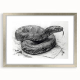 Framed wall art featuring a striking snake design in silver, showcasing intricate details and vibrant colors, perfect for reptile enthusiasts and modern decor.