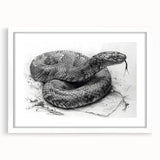 Framed wall art featuring a vibrant snake design with intricate patterns, set in a white mat, perfect for reptile enthusiasts and modern decor.
