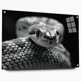 Acrylic wall art featuring a vibrant snake design, showcasing intricate details and colors on a glass surface, ideal for reptile enthusiasts and home decor.