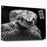 Acrylic wall art featuring a vibrant snake design, showcasing intricate details and colors on a glass surface, ideal for reptile enthusiasts and home decor.