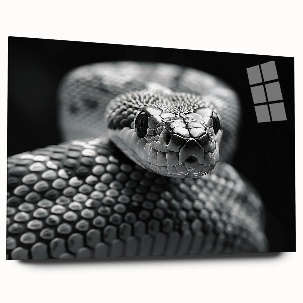 Acrylic wall art displaying an intricate snake design in vibrant colors, showcased from a side view. Perfect for reptile enthusiasts and modern home decor.
