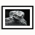 Framed wall art featuring a striking snake design, set in a black frame with a white mat, ideal for reptile enthusiasts and modern decor, enhancing any room's aesthetic.