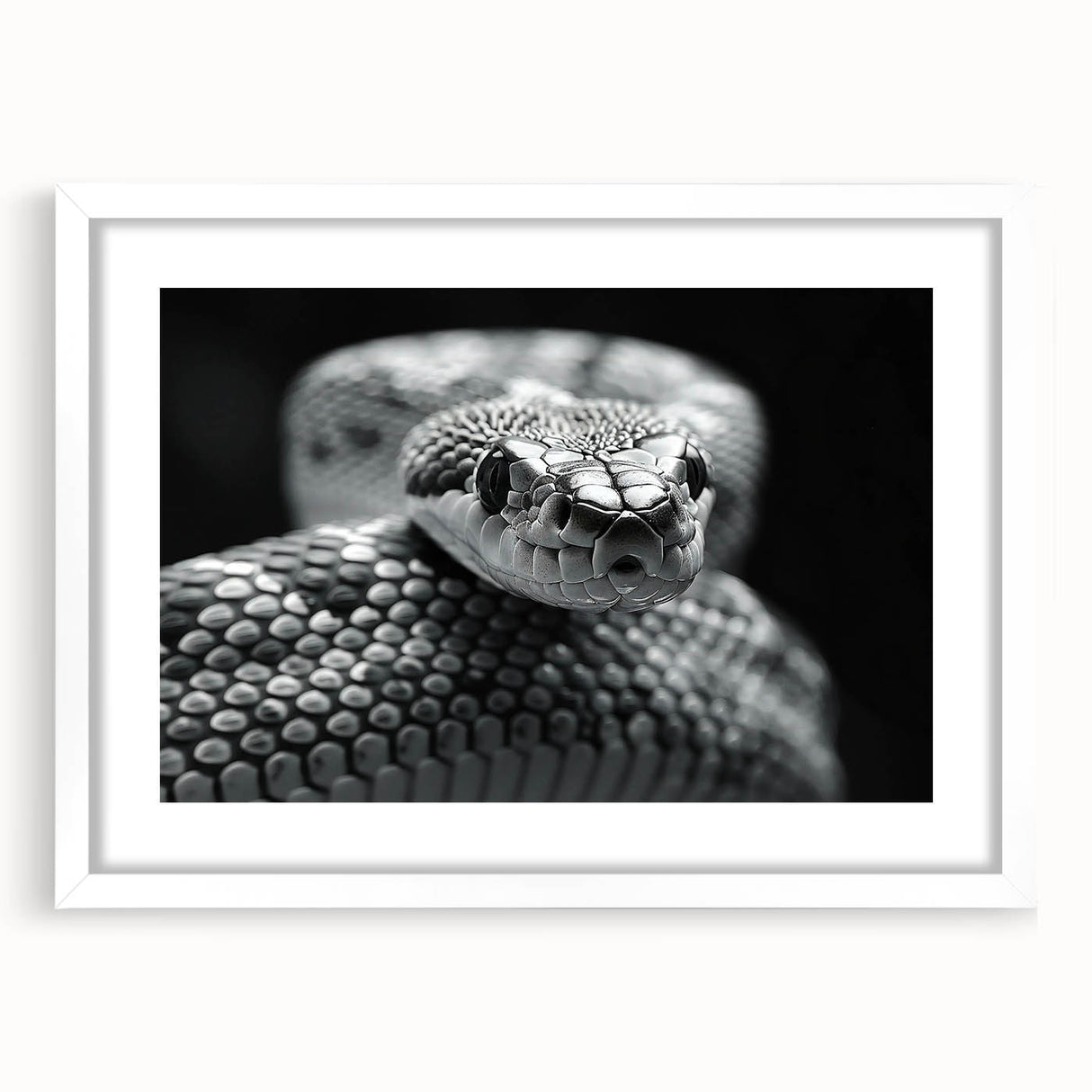 Framed wall art featuring a detailed reptile and snake design, set against a white mat, perfect for enhancing modern home decor. Ideal for reptile enthusiasts.