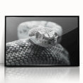 Framed wall art featuring a striking black snake design, showcasing intricate details on an acrylic surface, perfect for reptile enthusiasts and modern decor.