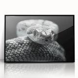 Framed wall art featuring a striking black snake design, showcasing intricate details on an acrylic surface, perfect for reptile enthusiasts and modern decor.