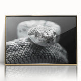 Framed wall art featuring a striking snake design in gold accents, showcasing intricate details and textures, perfect for adding a modern touch to home decor.