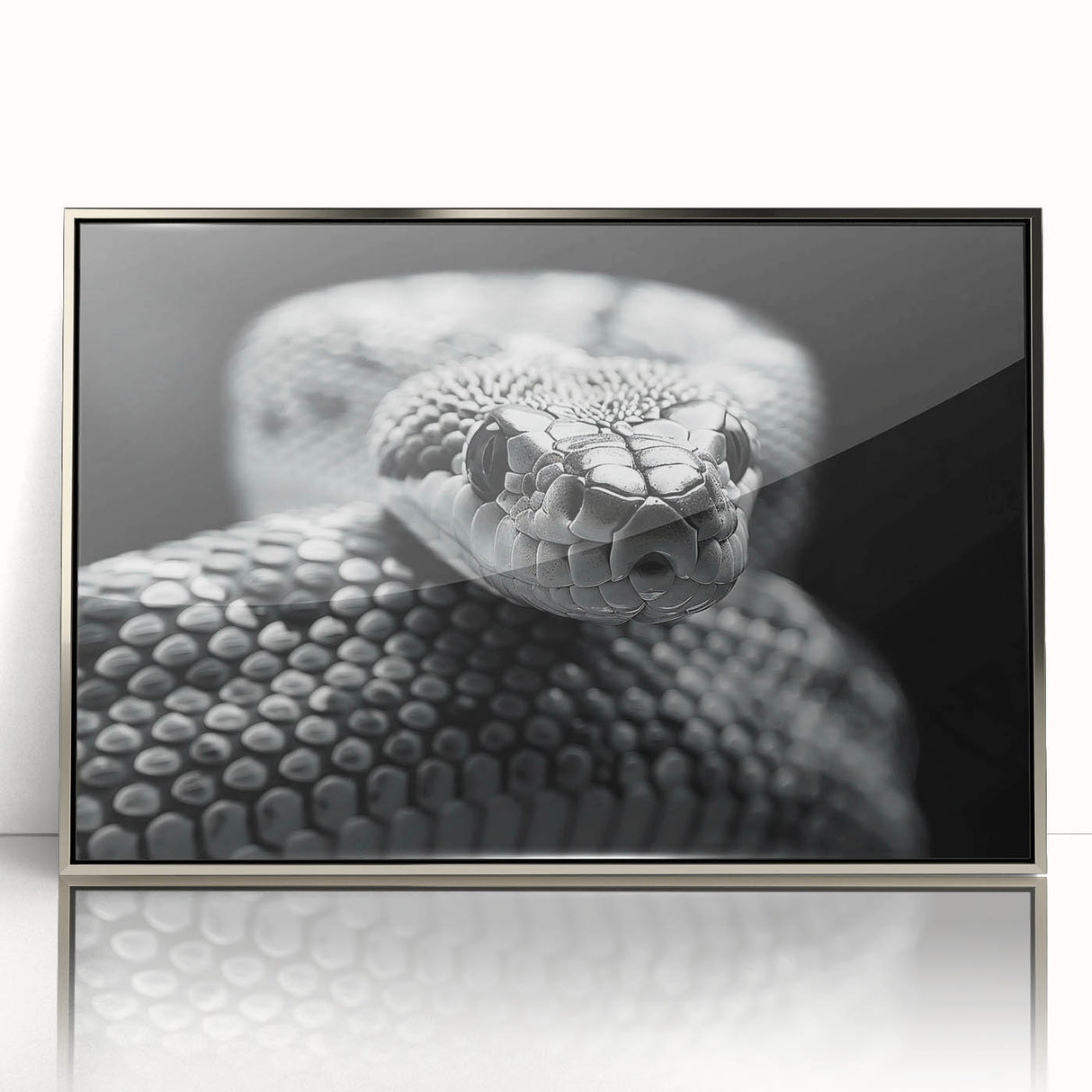 Framed wall art featuring a striking snake design in vibrant colors, set in a silver acrylic frame, perfect for reptile enthusiasts and contemporary decor.