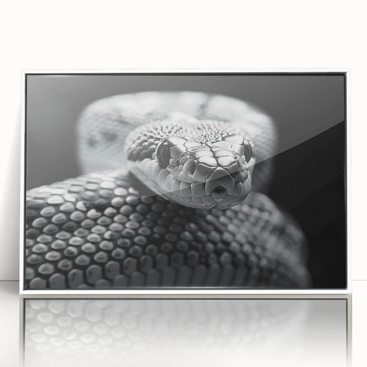 Framed wall art featuring a detailed snake design in vibrant colors, set against a white background, perfect for reptile enthusiasts and modern decor.