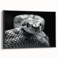 Framed wall art featuring a detailed snake design in a black frame, showcasing intricate patterns and textures, perfect for reptile enthusiasts and modern decor.