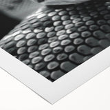 Colorful rolled canvas wall art showcasing a striking snake design, perfect for reptile enthusiasts. The artwork features intricate details and vibrant colors, packaged securely in a durable tube for safe transport. Ideal for enhancing any interior space.