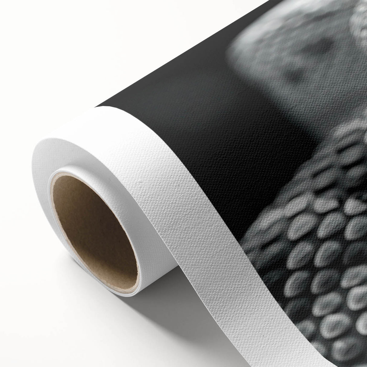 Rolled canvas showcasing a vibrant snake design wall art collection, featuring intricate patterns and colors, elegantly packaged in a protective cardboard tube.