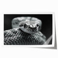 Colorful snake-themed wall art print showcasing intricate reptile designs, perfect for home decor enthusiasts, rolled and ready for framing or display.