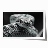 Colorful snake-themed wall art print showcasing intricate reptile designs, perfect for home decor enthusiasts, rolled and ready for framing or display.