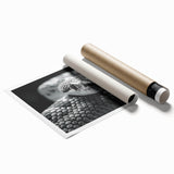 Colorful rolled wall art print featuring a detailed snake design, ideal for reptile enthusiasts and unique home decor. Perfectly packaged in a cardboard tube for safe delivery.