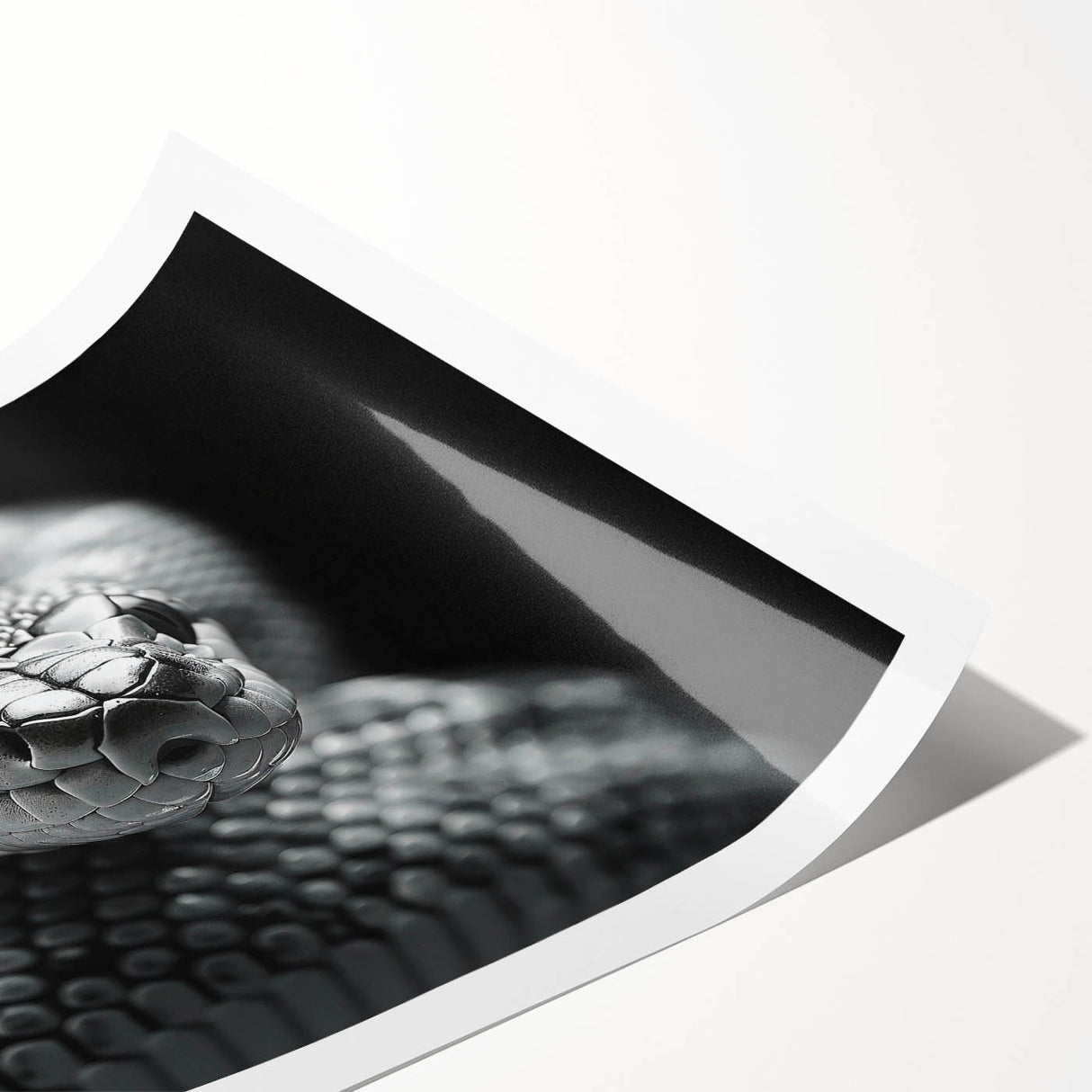 Vibrant rolled wall art print showcasing a detailed snake design, featuring intricate patterns and colors, ideal for reptile enthusiasts and modern decor.
