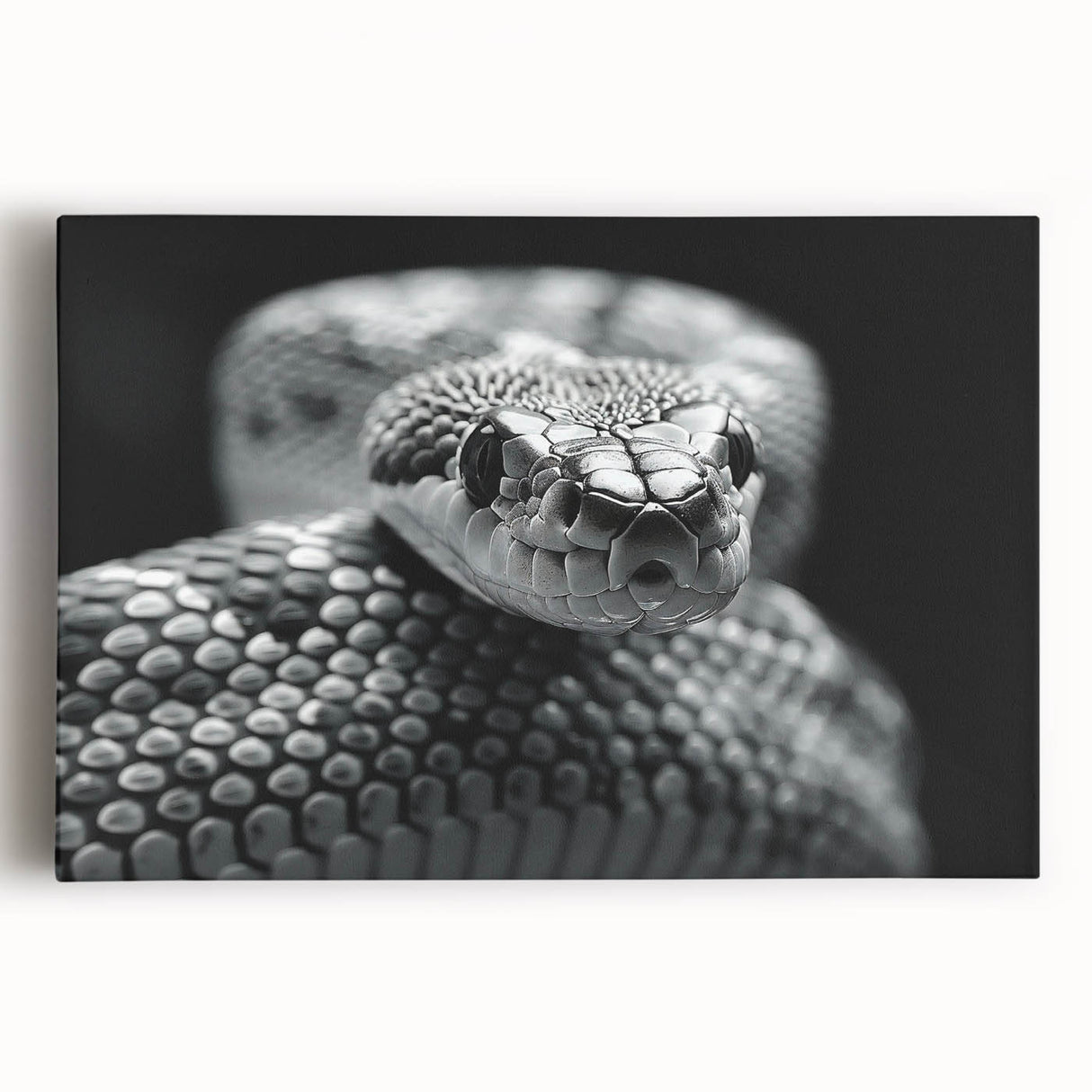 Stretched canvas wall art showcasing a detailed snake design, featuring vibrant colors and intricate patterns, perfect for reptile enthusiasts and modern decor.