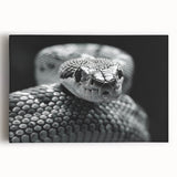 Stretched canvas wall art showcasing a detailed snake design, featuring vibrant colors and intricate patterns, perfect for reptile enthusiasts and modern decor.