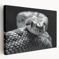 Stretched canvas wall art showcasing a vibrant snake design in a side view, featuring intricate scales and bold colors, ideal for reptile enthusiasts and home decor.