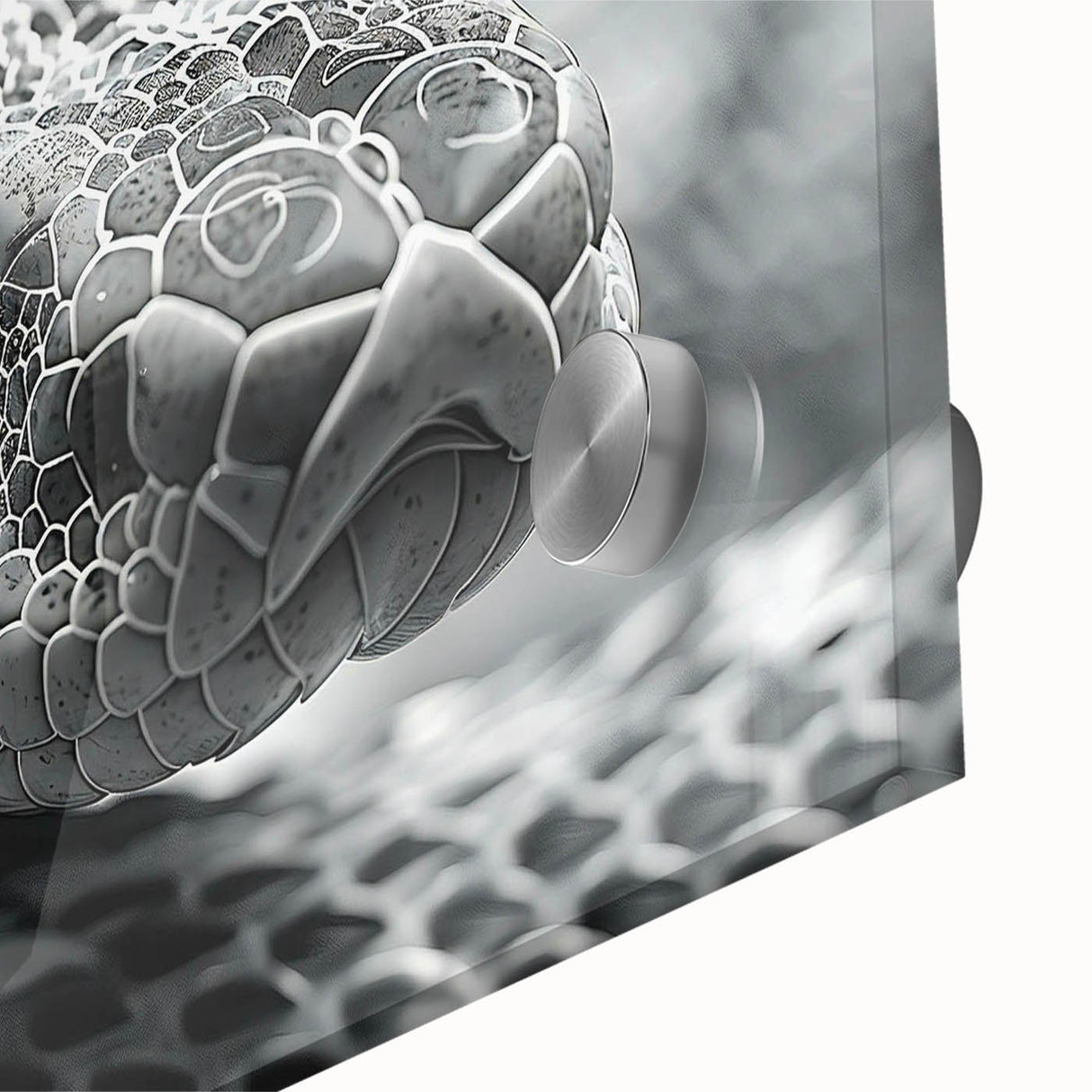 Close-up of a vibrant acrylic wall art piece showcasing a detailed snake design, featuring intricate scales and colors, ideal for reptile enthusiasts' decor.