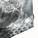 Close-up of a vibrant acrylic wall art piece showcasing a detailed snake design, featuring intricate scales and colors, ideal for reptile enthusiasts' decor.